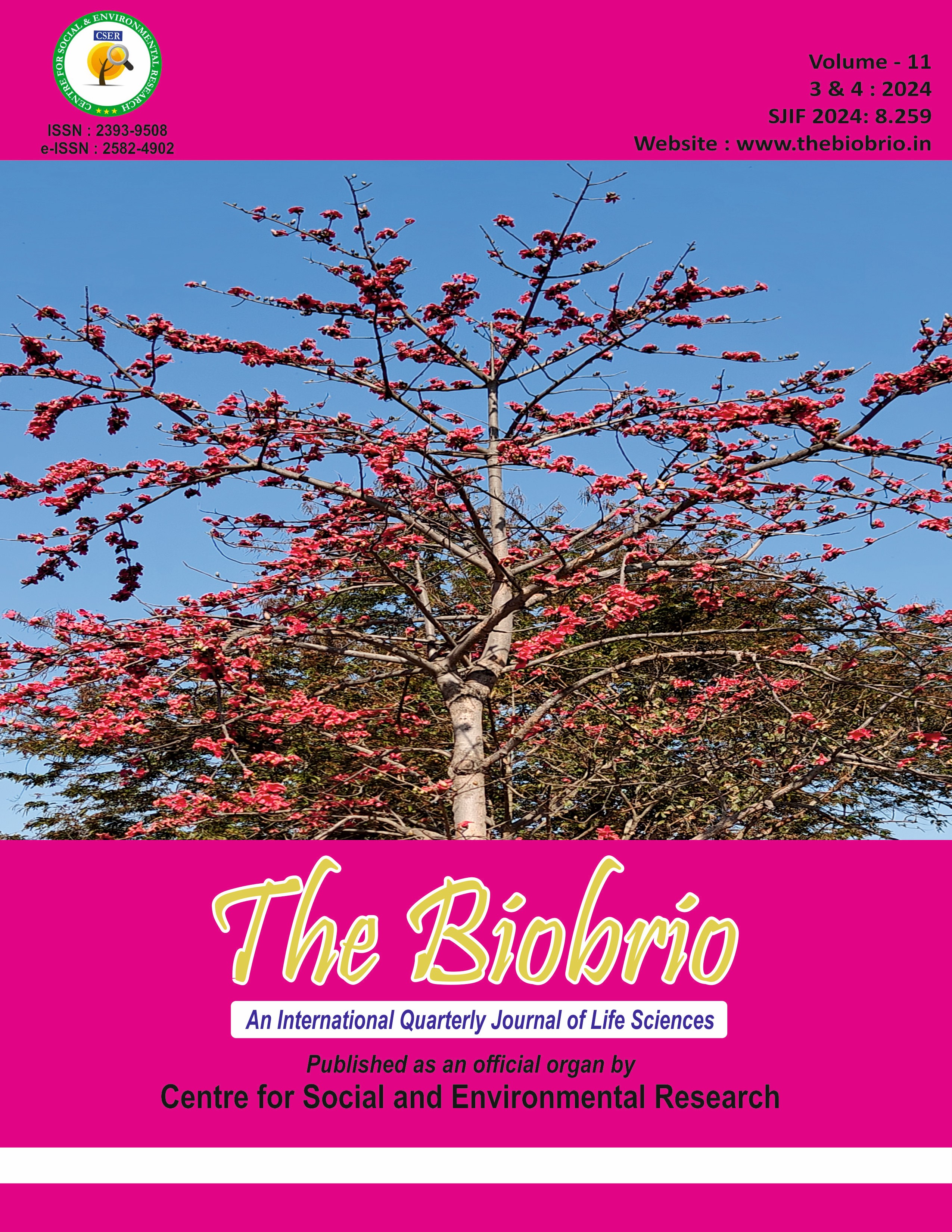 The BioBrio publication